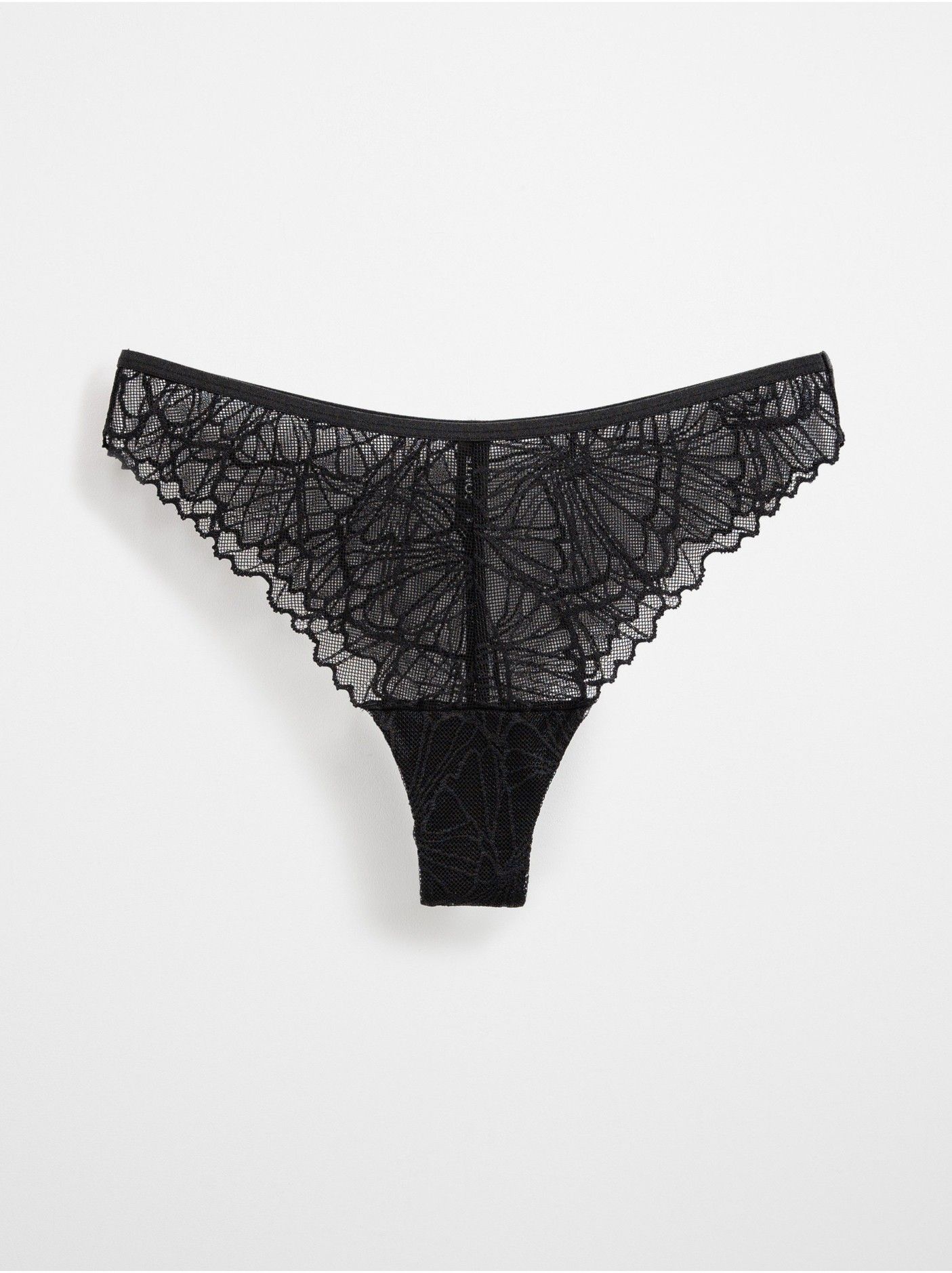 Интернеттегі сперматозоидтар жинағы