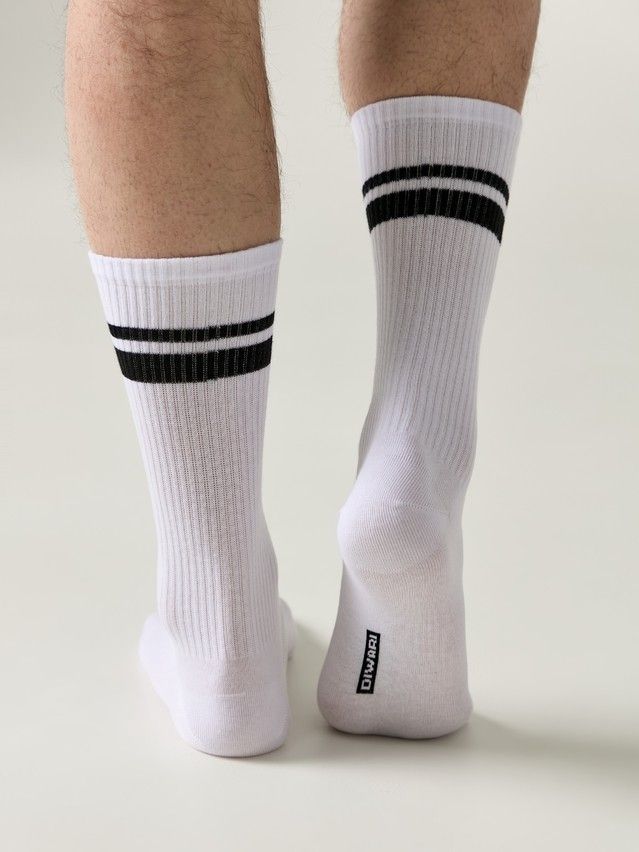 Носки мужские DW ACTIVE 20С-19СП, р.25, 231 белый - 2