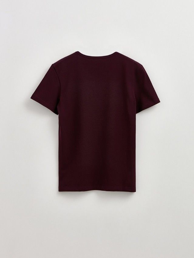 Фуфайка мужская DW BASIC MEN MF 2024 (бандероль),р.170,176-100, dark bordo - 7