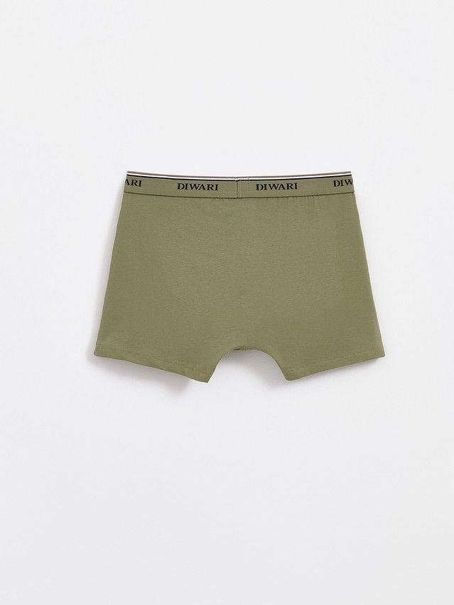 Трусы мужские DW PREMIUM MSH 1568 (бандероль),р.78,82, khaki-khaki strip - 6