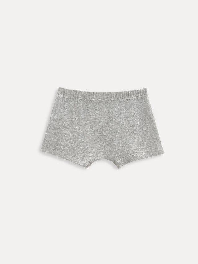 Трусы мал. C BASIC COLLECTION BSH 5108 (пакет),р.116,122-60, grey melange - 2