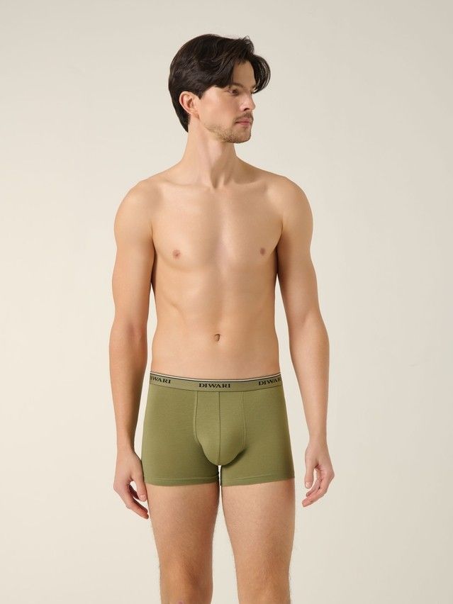 Трусы мужские DW PREMIUM MSH 1568 (бандероль),р.78,82, khaki-khaki strip - 3