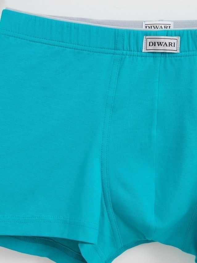 Трусы муж. DW BASIC MSH 2744 (пакет),р.78,82, emerald - 3