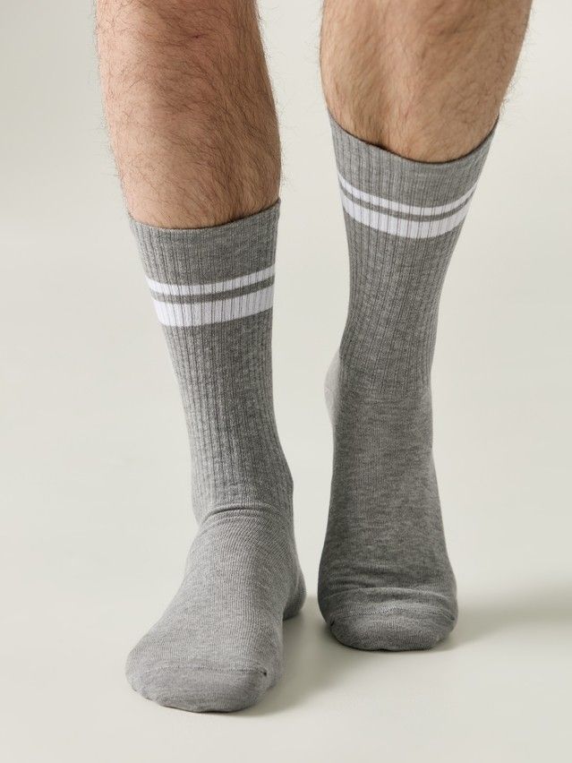 Носки мужские DW ACTIVE 20С-19СП, р.25, 231 серый - 1