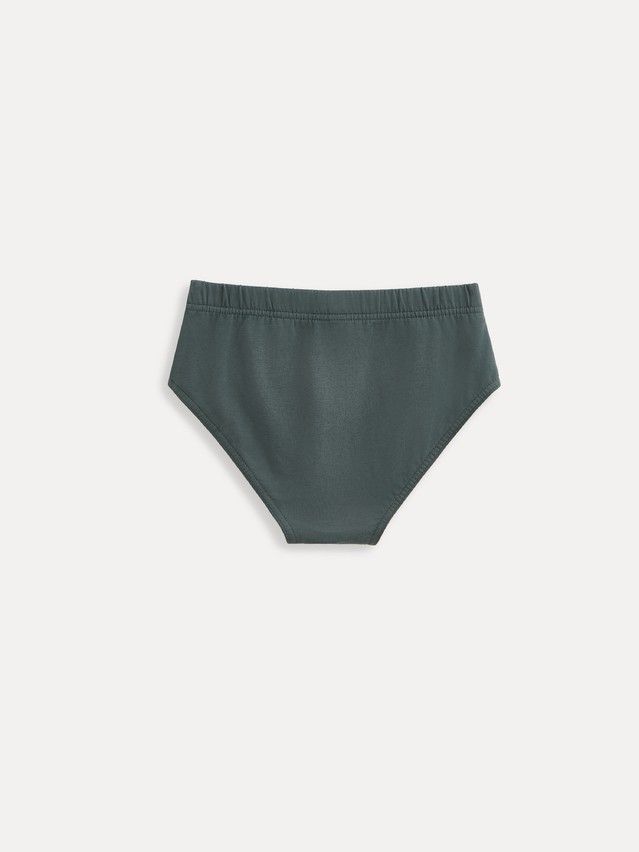 Трусы мал. C BASIC COLLECTION BSL 5109 (пакет),р.116,122-60, dark forest - 2