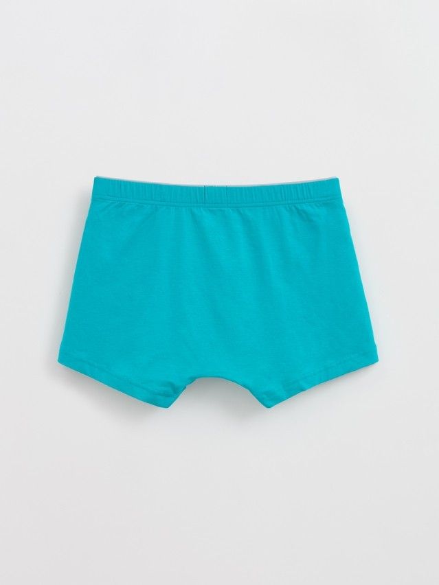 Трусы муж. DW BASIC MSH 2744 (пакет),р.78,82, emerald - 2