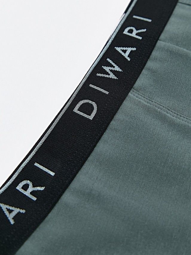 Трусы мужские DW PREMIUM MSH 1568 (бандероль),р.78,82, stormy green-silver black - 6