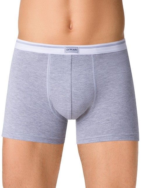 Хлопковые мужские трусы BASIC SHORTS 015 (на вешалке)