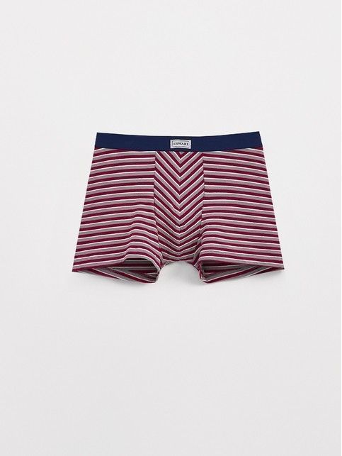 Трусы-шорты из хлопком в полоску BASIC MSH 2956