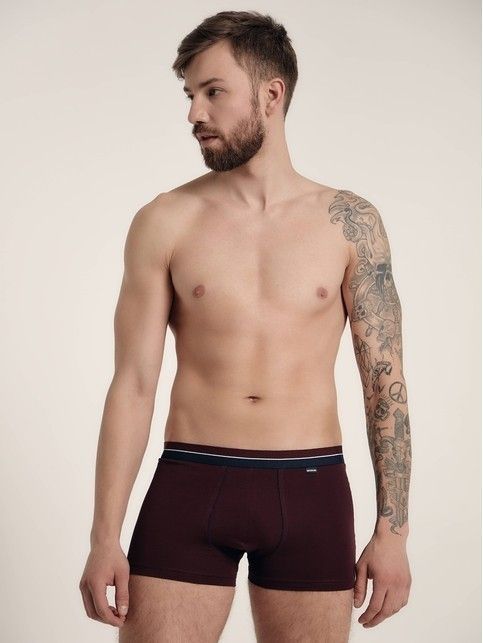 Хлопковые мужские трусы PREMIUM SHORTS 755 (в коробке)
